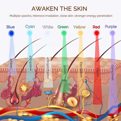 7 Color LED Light Therapy Face Mask 