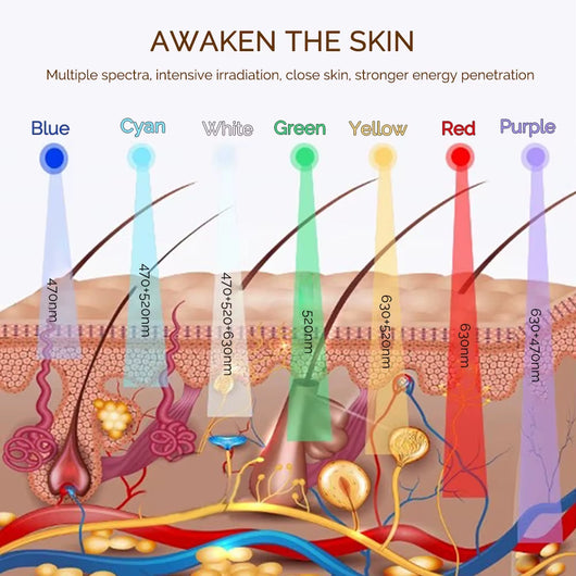 7 Color LED Light Therapy Face Mask 
